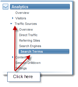 Select Analytics -> Traffic Sources -> Search Terms from the menu
