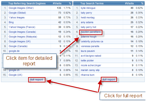 Search Engine and Keywords Reports